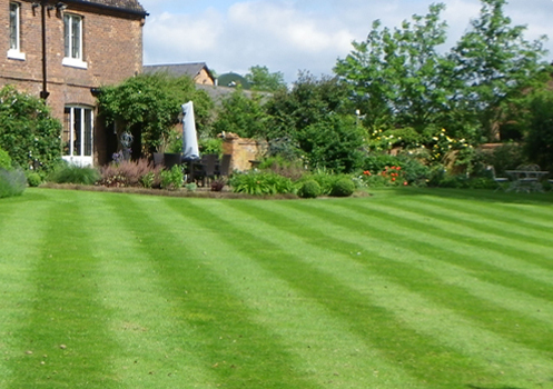 Landscaping services