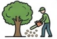 Spring Clean up icon
